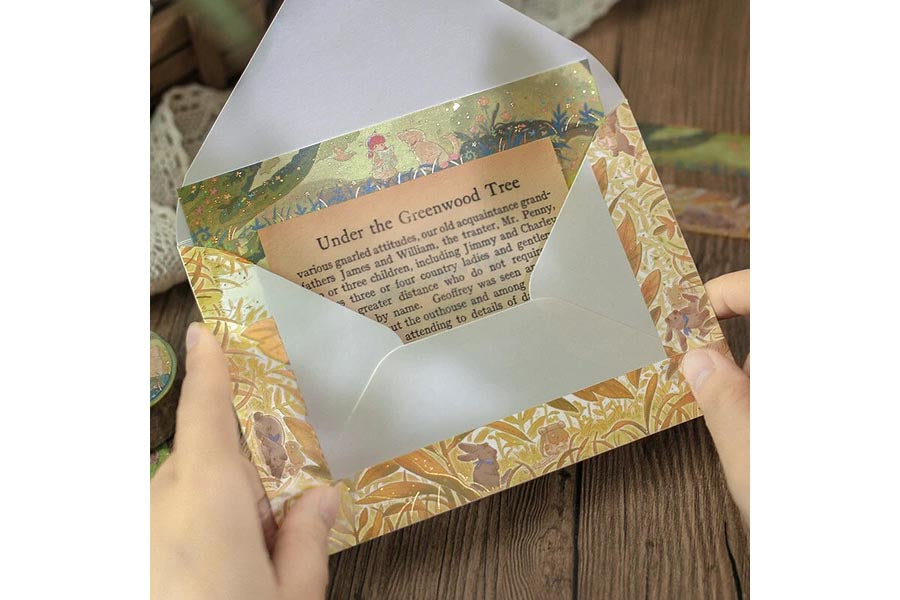 BGM Masking Tape - Hide and Seek | Flywheel | Stationery | Tasmania