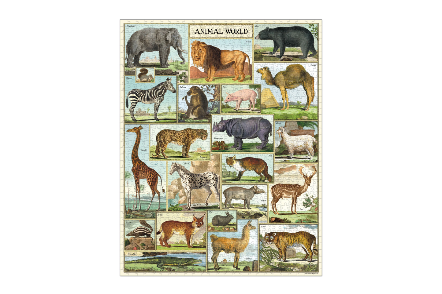 Cavallini 1000 Piece Puzzle - Animal World | Flywheel | Stationery | Tasmania