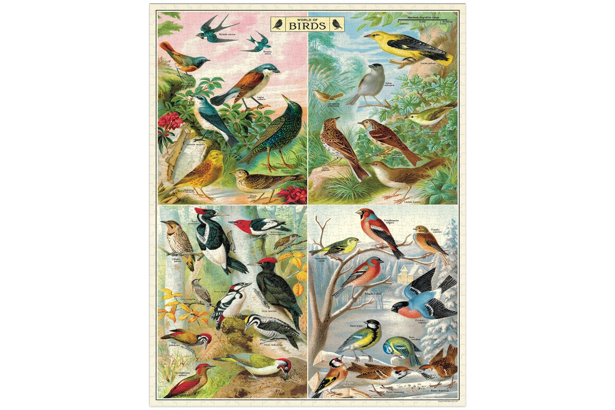 Cavallini 1000 Piece Puzzle - World of Birds