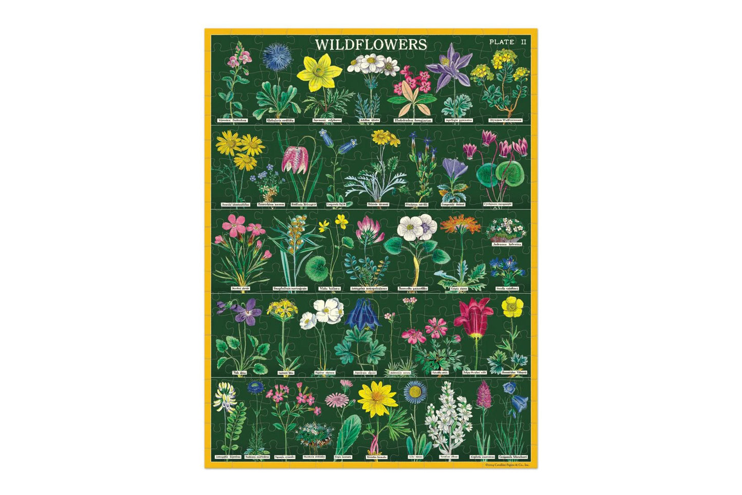 Cavallini 240 Piece Puzzle - Wildflowers | Flywheel | Stationery | Tasmania