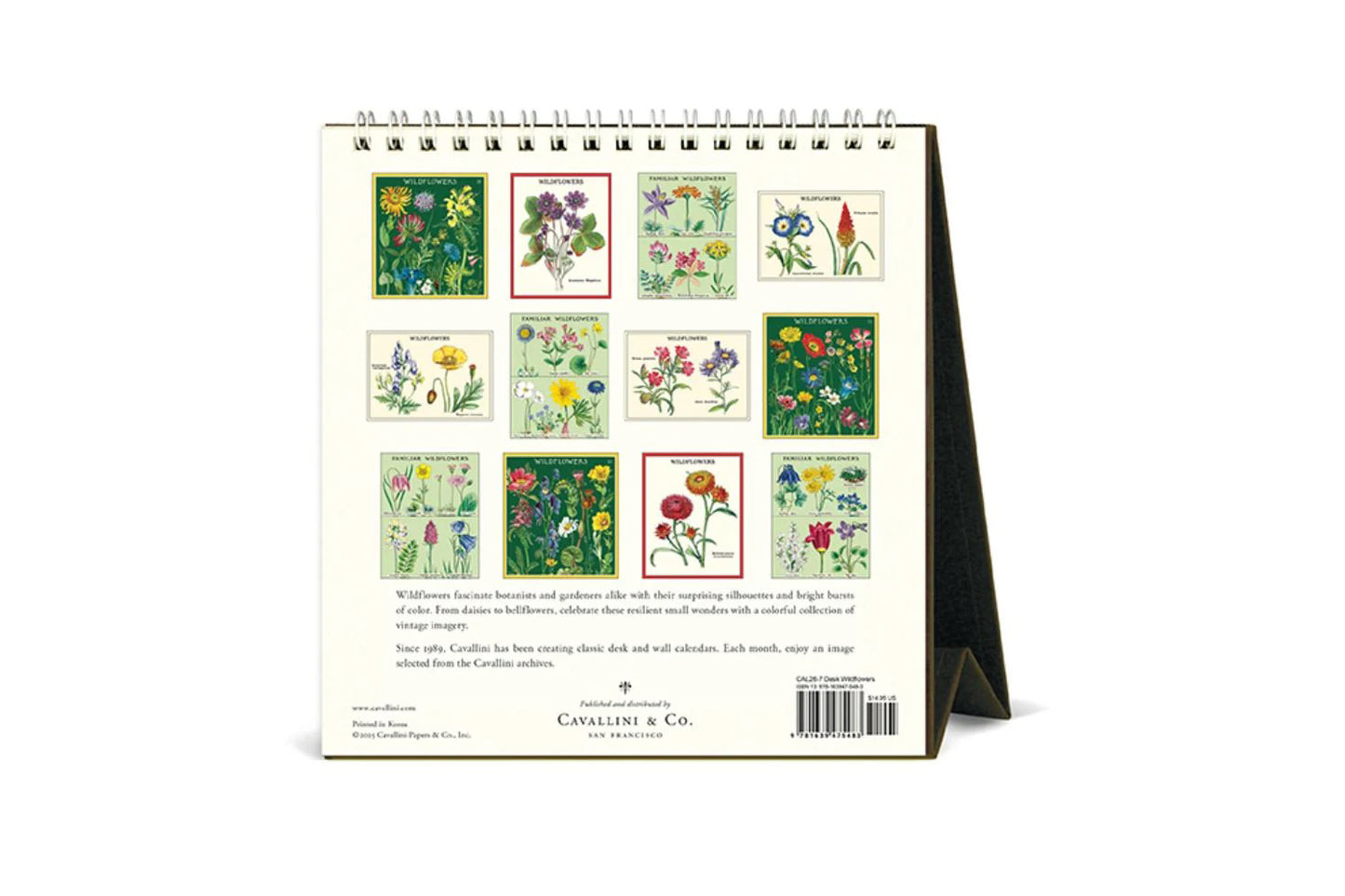 Cavallini 2026 Desk Calendar - Wildflowers | Flywheel | Stationery | Tasmania