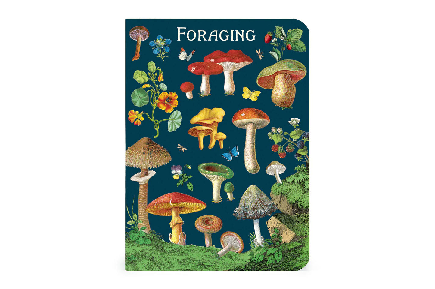 Cavallini Mini Notebook Set - Foraging | Flywheel | Stationery | Tasmania