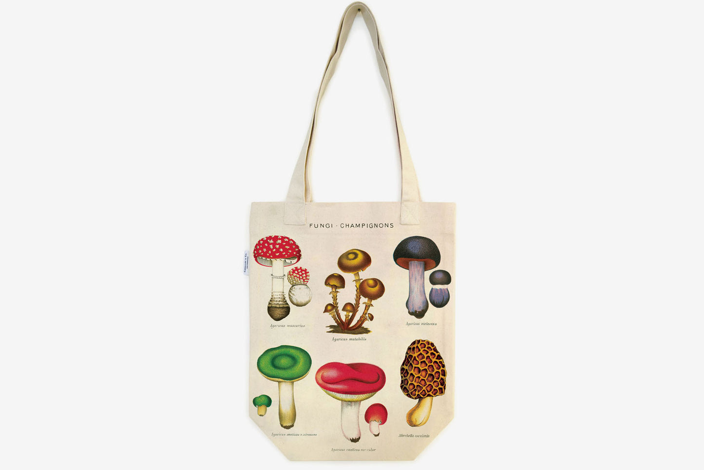Cavallini Tote Bag - Mushrooms | Flywheel | Stationery | Tasmania