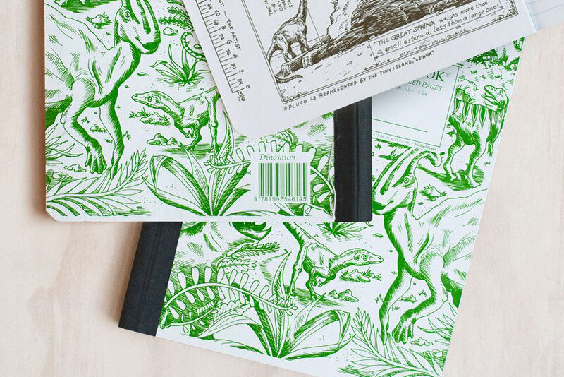 Decomposition Book Large - Dinosaurs | Flywheel | Stationery | Tasmania