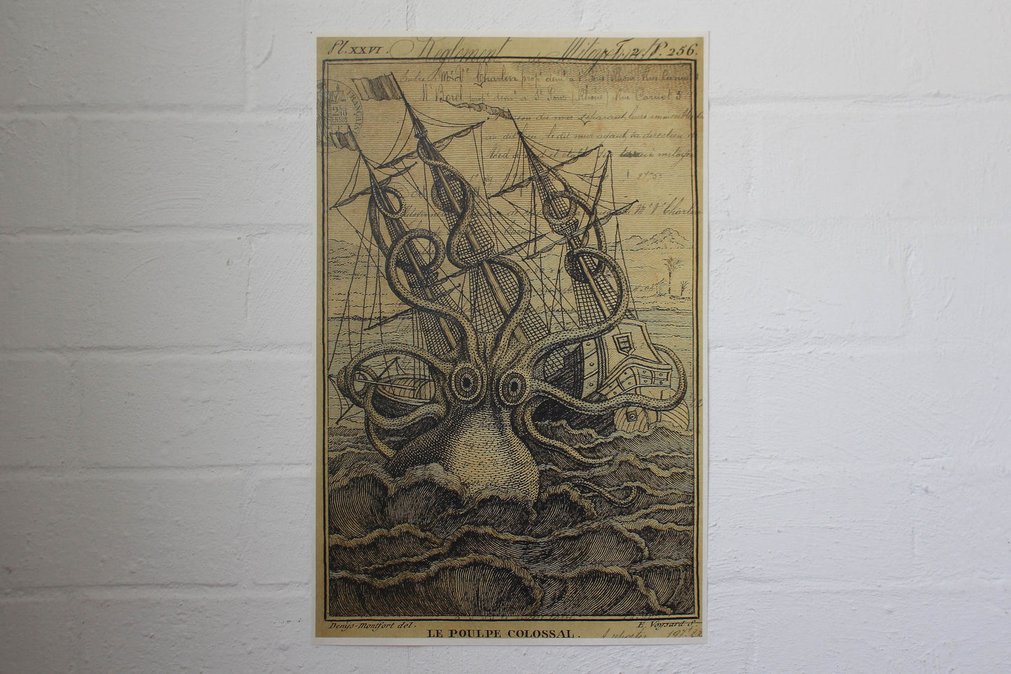 Monahan Poster - Kraken | Flywheel | Stationery | Tasmania