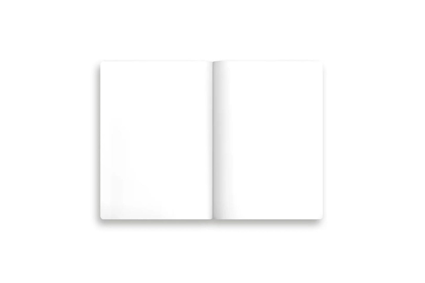 Kaleido B6 Notebook Set - Natural World | Flywheel | Stationery | Tasmania