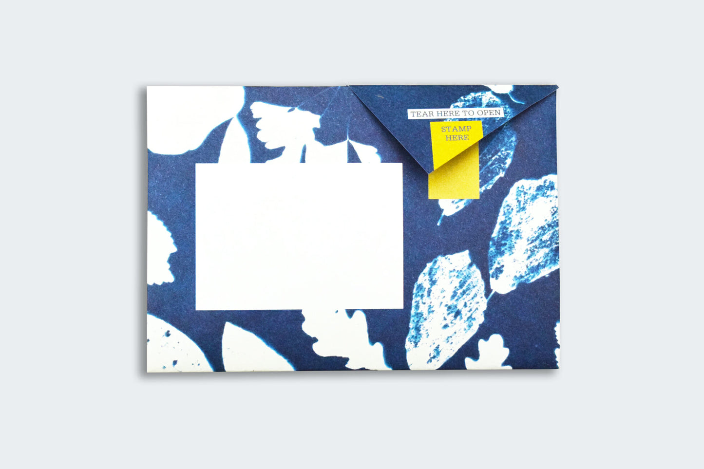 Pigeon Posted Letter Pack - Apothecary | Flywheel | Stationery | Tasmania