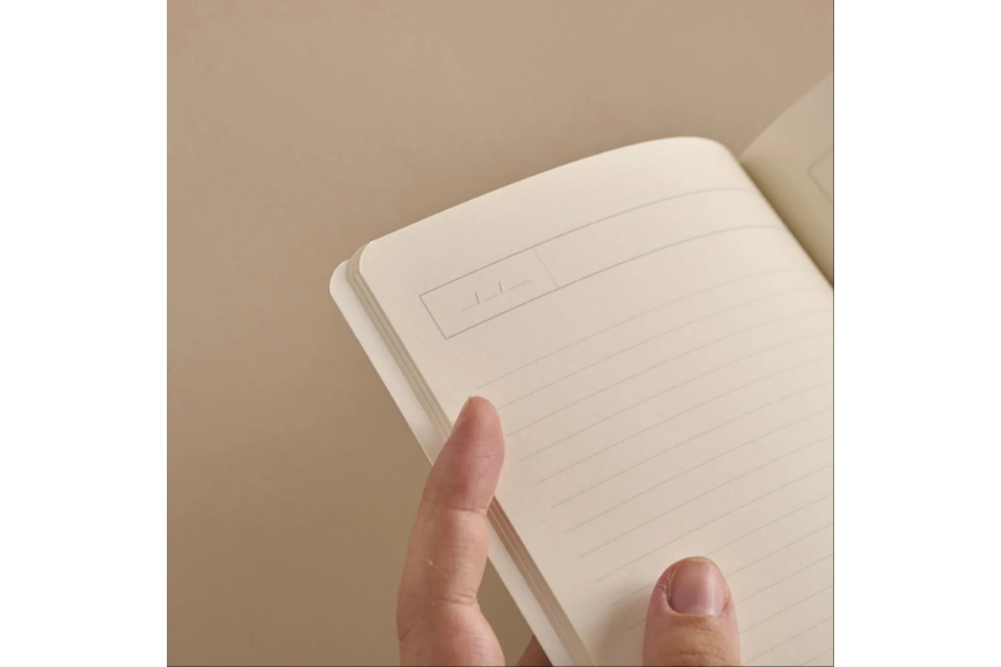 Season Paper Notebook - Limonata | Flywheel | Stationery | Tasmania