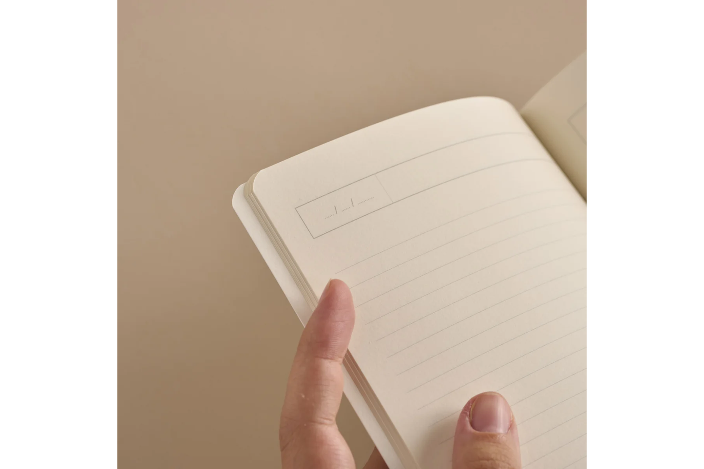 Season Paper Notebook - Swinging Candy | Flywheel | Stationery | Tasmania