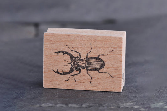 Stempel Jazz Rubber Stamp - Stag Beetle | Flywheel | Stationery | Tasmania