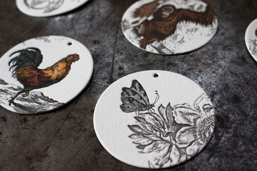 Letterpress Tags - Zoology | Flywheel | Stationery | Tasmania