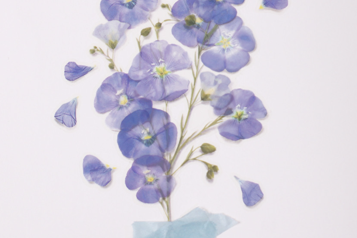 Appree Pressed Flower Stickers - Flax | Flywheel | Stationery | Tasmania