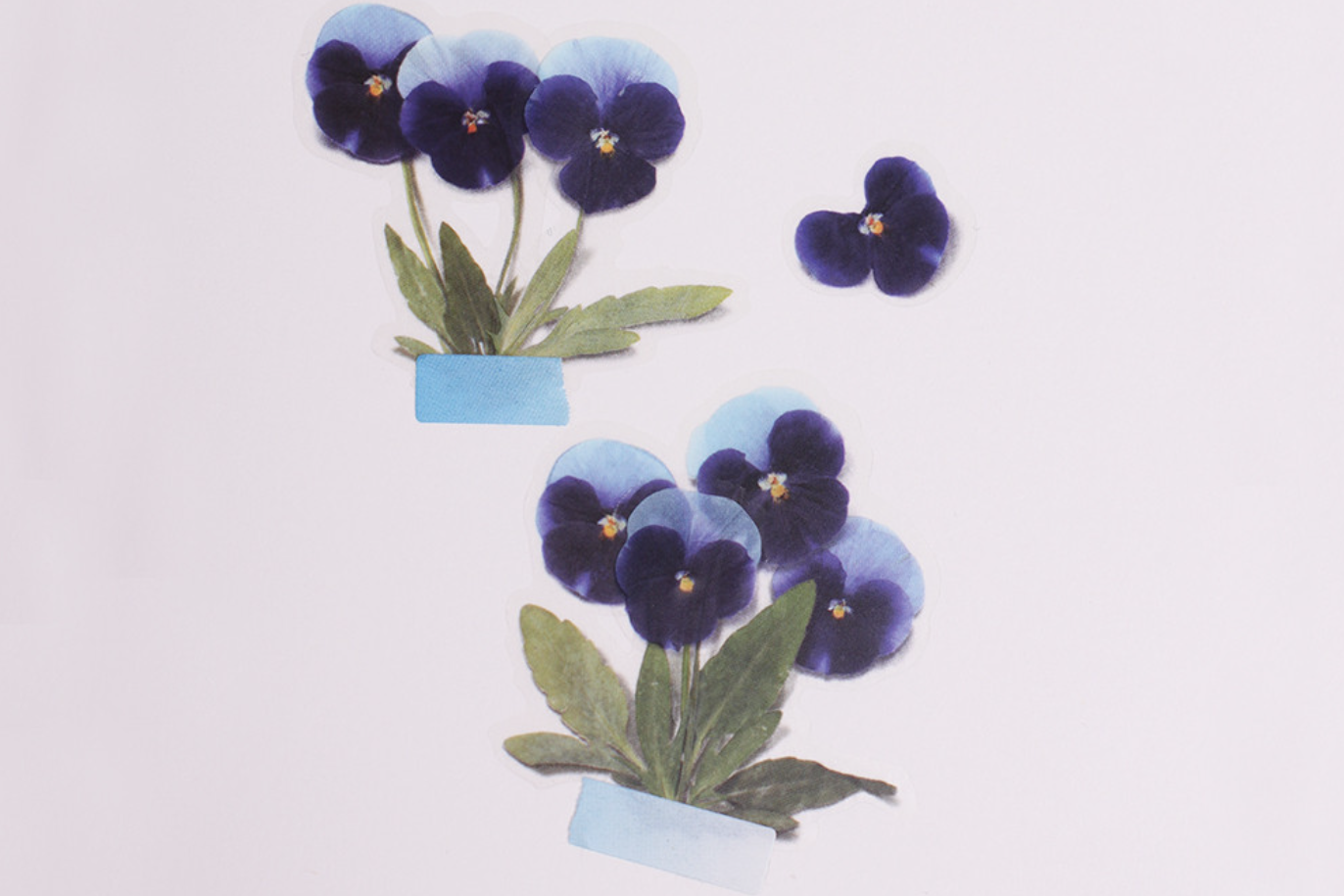 Appree Pressed Flower Stickers - Pansy | Flywheel | Stationery | Tasmania