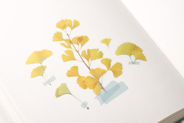 Appree Pressed Flower Stickers - Ginkgo | Flywheel | Stationery | Tasmania