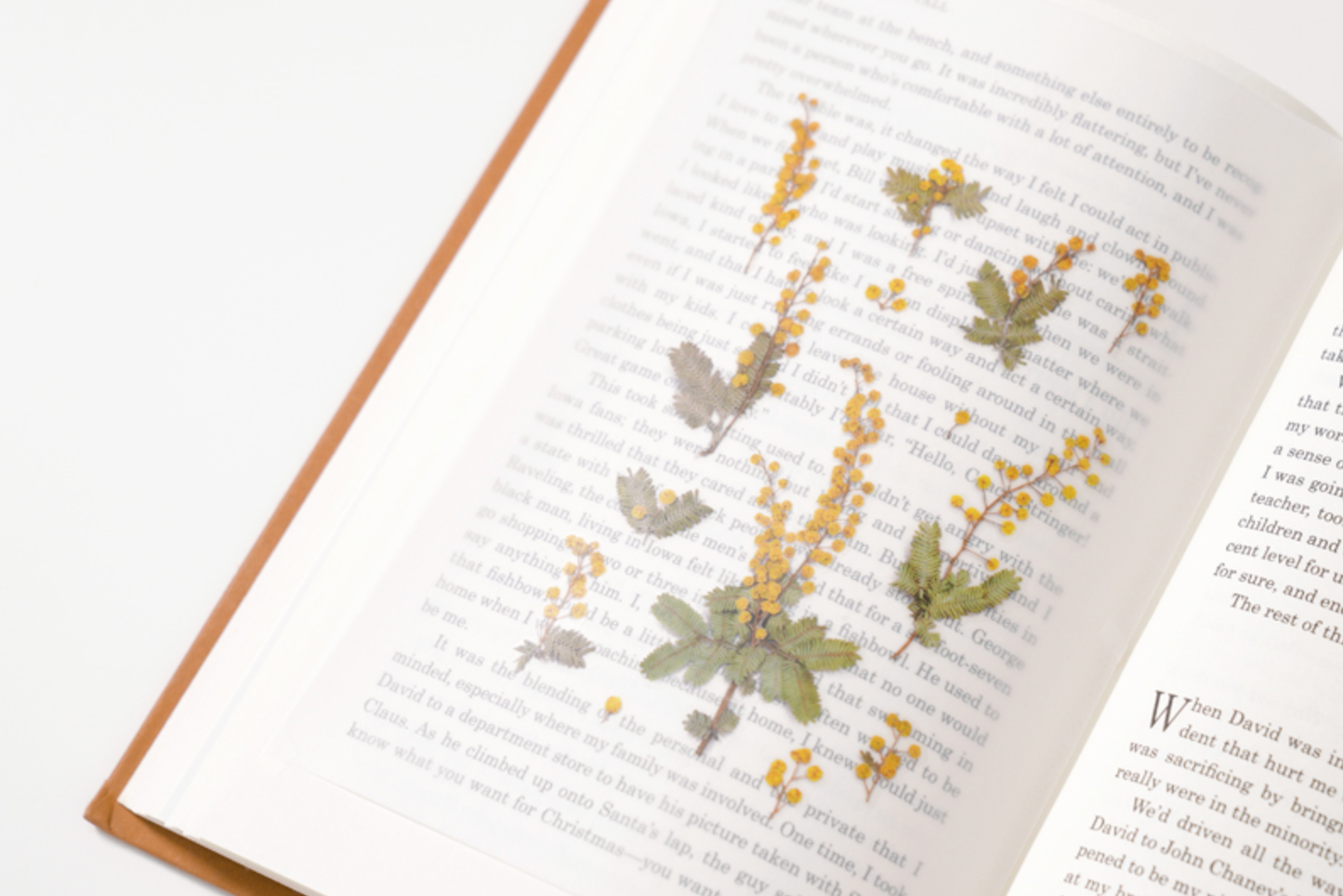 Appree Pressed Flower Stickers - Mimosa | Flywheel | Stationery | Tasmania