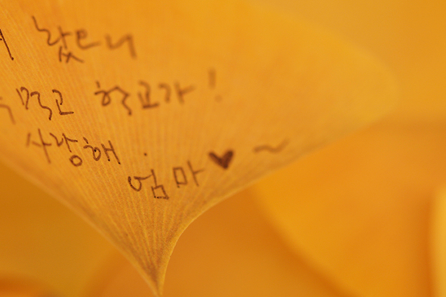 Appree Sticky Leaf Memo Notes - Ginkgo | Flywheel | Stationery | Tasmania