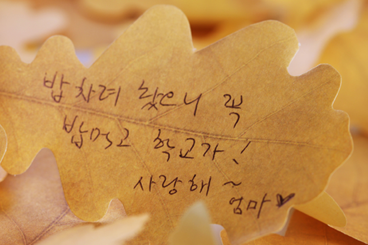 Appree Sticky Leaf Memo Notes - Oak | Flywheel | Stationery | Tasmania