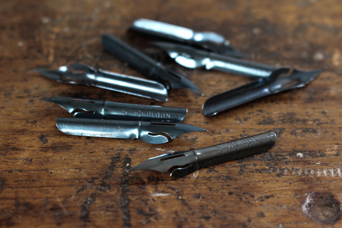 Calligraphy Nib - Blue Pumpkin | Flywheel | Stationery | Tasmania