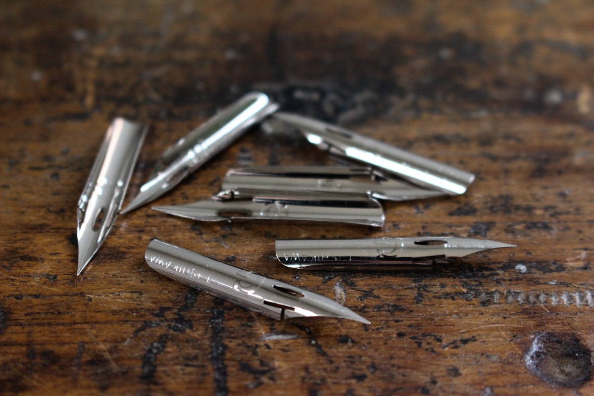 Calligraphy Nib - Zebra G | Flywheel | Stationery | Tasmania