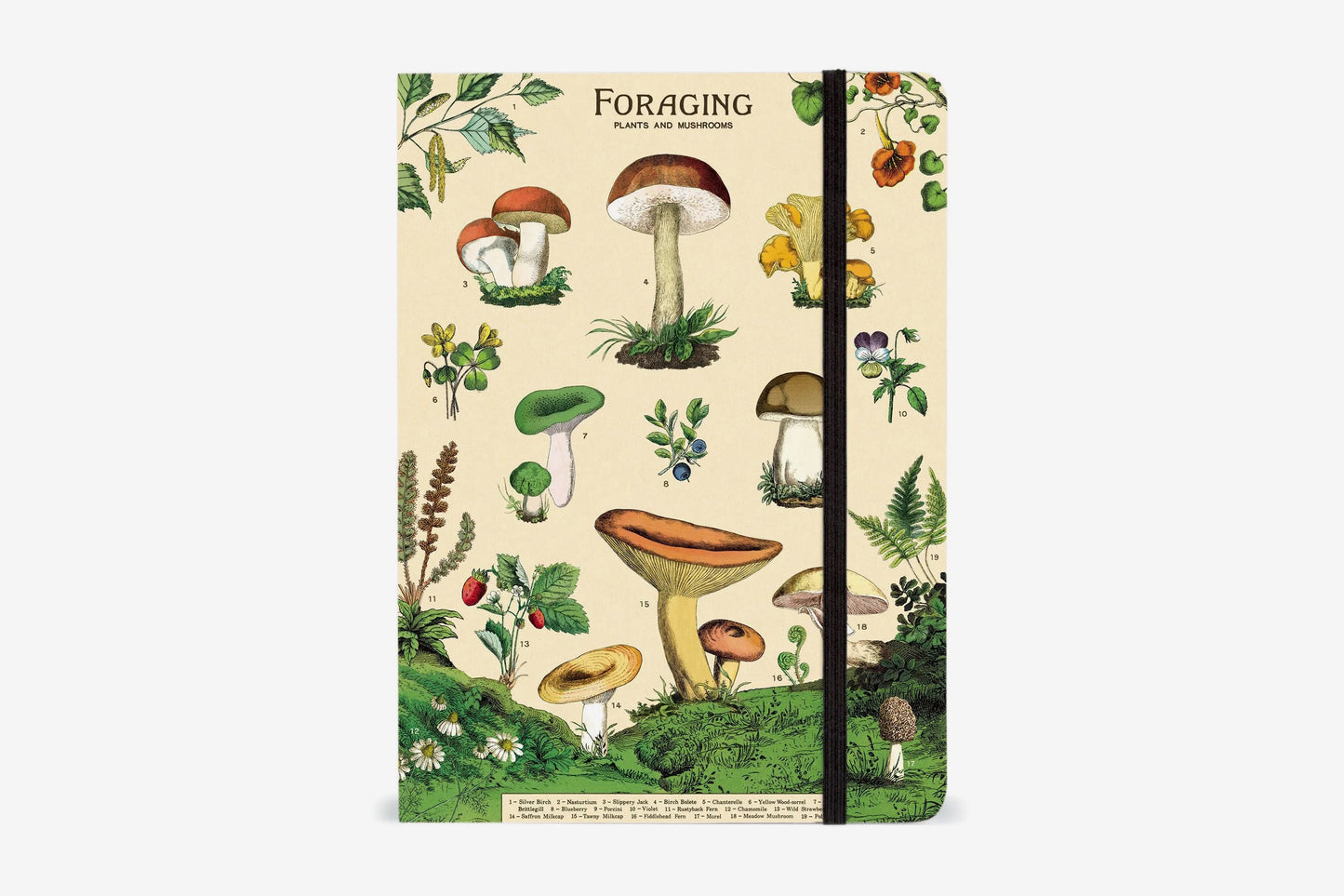 Cavallini Notebook Large - Foraging | Flywheel | Stationery | Tasmania