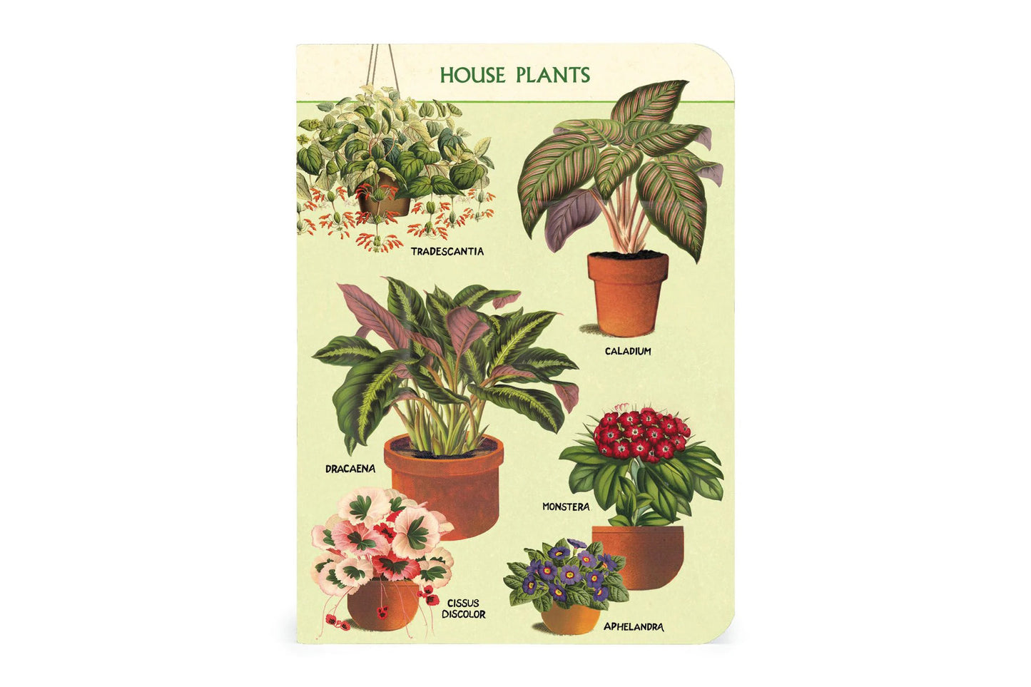 Cavallini Mini Notebook Set - Houseplants | Flywheel | Stationery | Tasmania