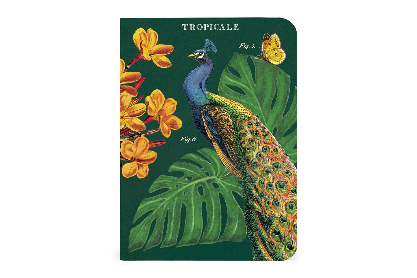 Cavallini Mini Notebook Set - Tropicale | Flywheel | Stationery | Tasmania