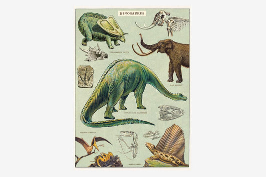 Cavallini Poster - Dinosaurs | Flywheel | Stationery | Tasmania