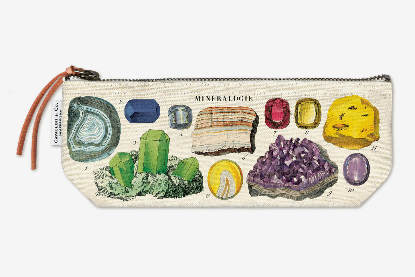 Cavallini Mini Pouch - Mineralogy | Flywheel | Stationery | Tasmania