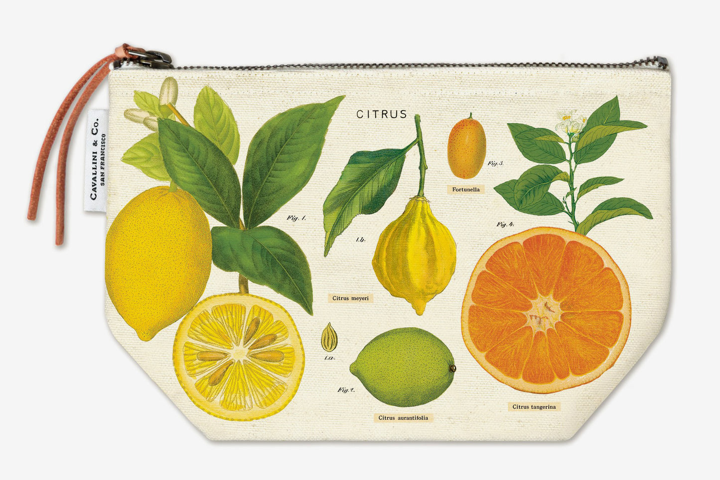 Cavallini Pouch - Citrus | Flywheel | Stationery | Tasmania