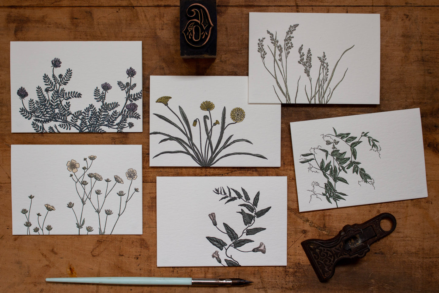 Letterpress Notecard - Flora 2 | Flywheel | Stationery | Tasmania