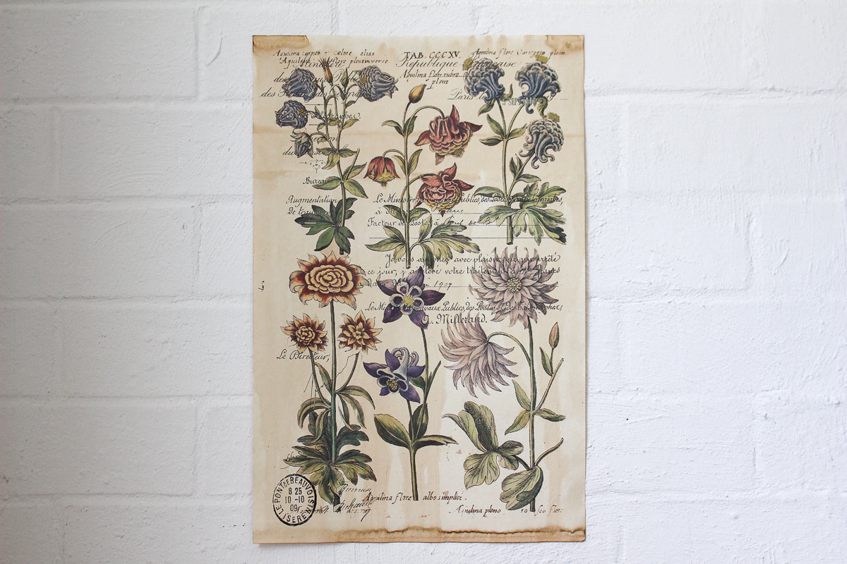 Monahan Poster - Flowers | Flywheel | Stationery | Tasmania