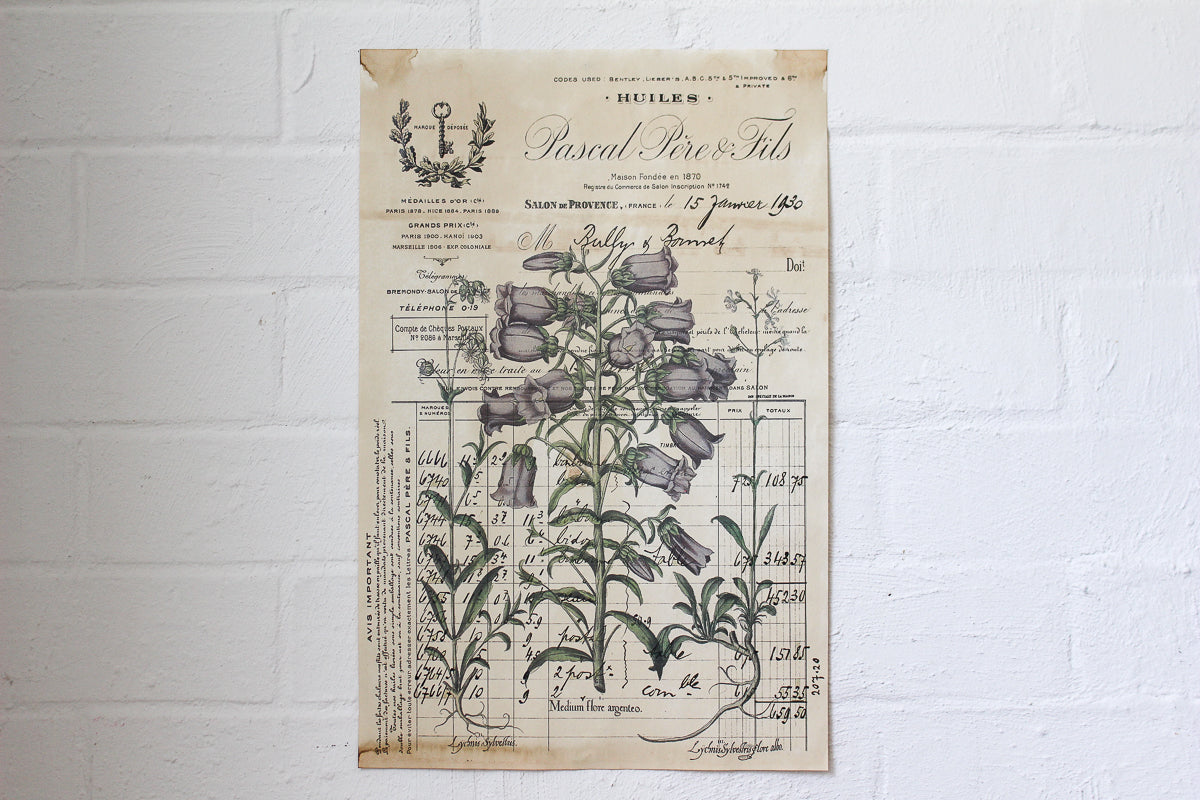 Monahan Poster - Huiles Botanical | Flywheel | Stationery | Tasmania