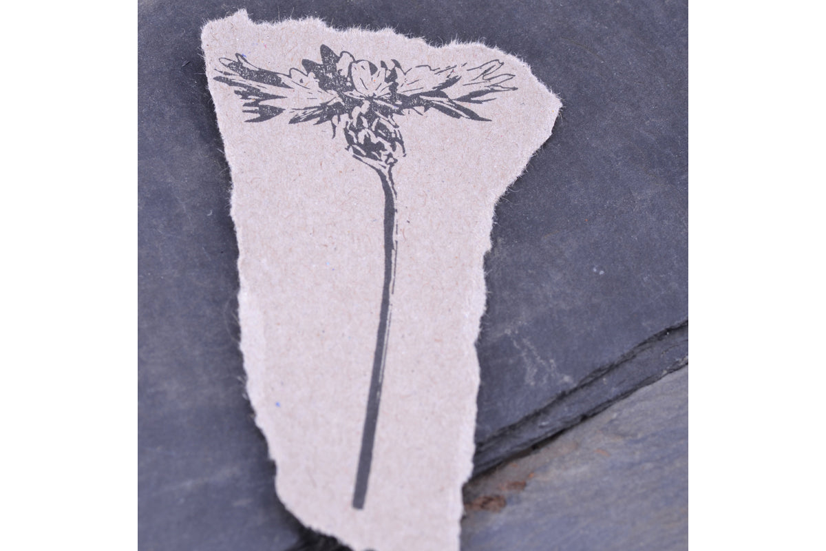 Stempel Jazz Rubber Stamp - Cornflower | Flywheel | Stationery | Tasmania