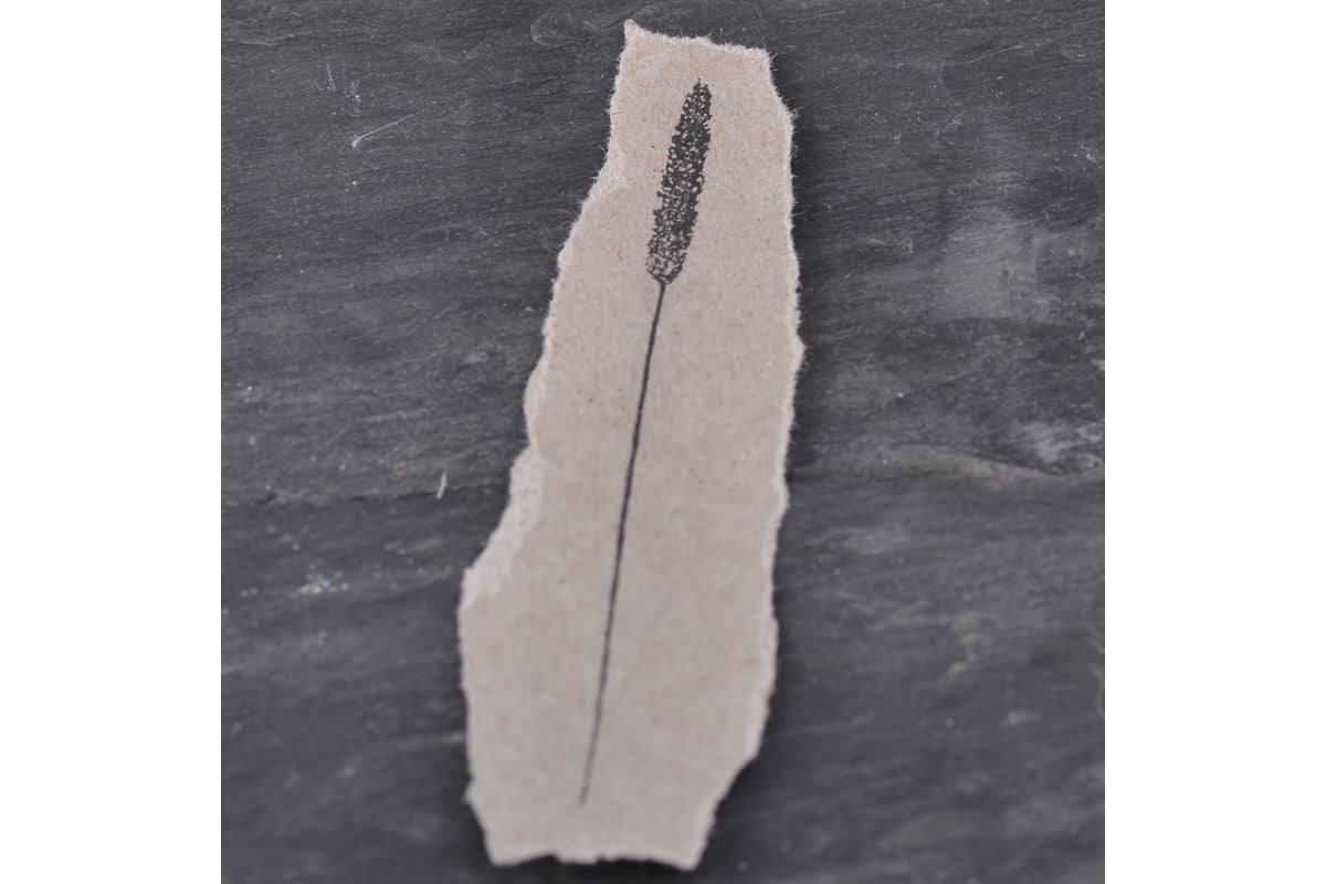 Stempel Jazz Rubber Stamp - Meadow Lily Grass | Flywheel | Stationery | Tasmania