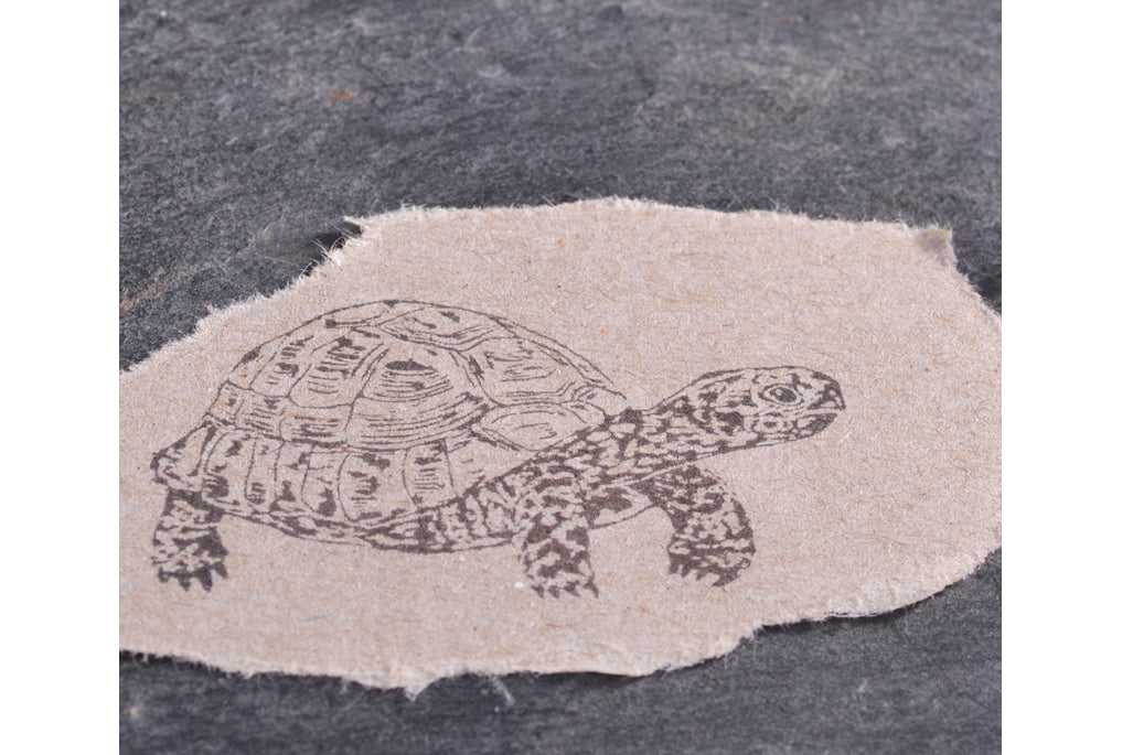 Stempel Jazz Rubber Stamp - Tortoise | Flywheel | Stationery | Tasmania