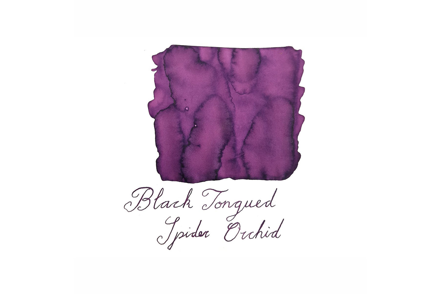 Van Dieman's Ink Fountain Pen Ink - Black-Tongue Spider Orchid | Flywheel | Stationery | Tasmania