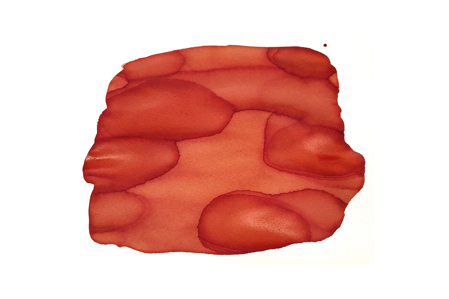 Van Dieman's Ink Fountain Pen Ink - Tassie Salmon | Flywheel | Stationery | Tasmania