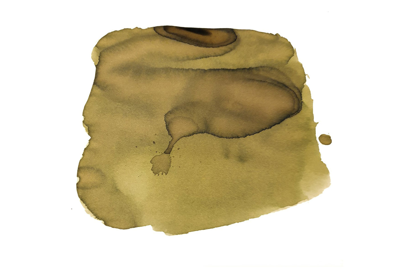 Van Dieman's Ink Fountain Pen Ink - Tiger Snake | Flywheel | Stationery | Tasmania