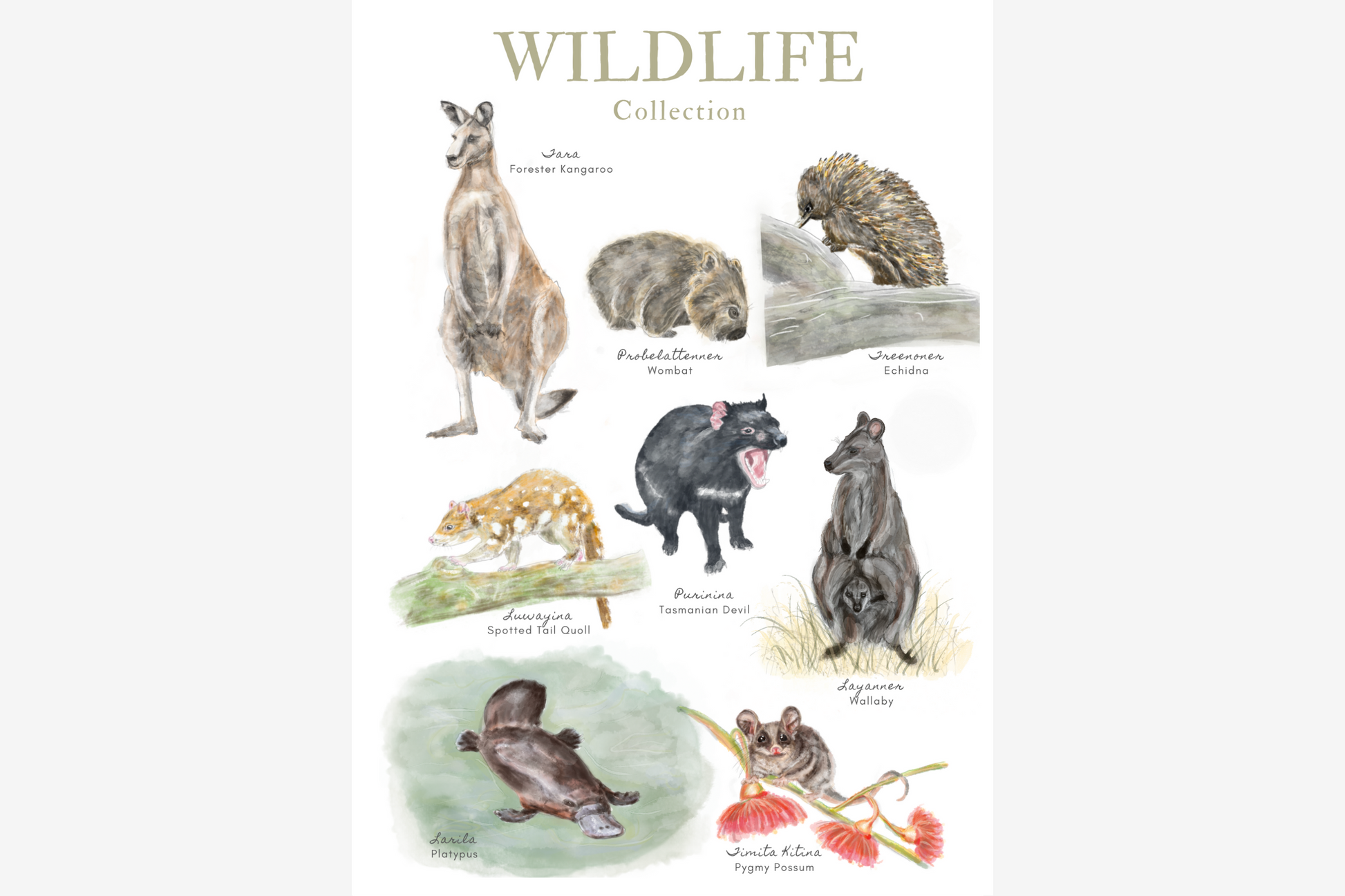 Palawa Pigments Watercolour Paintable Pad - Wildlife | Flywheel | Stationery | Tasmania