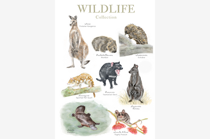 Palawa Pigments Watercolour Paintable Pad - Wildlife | Flywheel | Stationery | Tasmania
