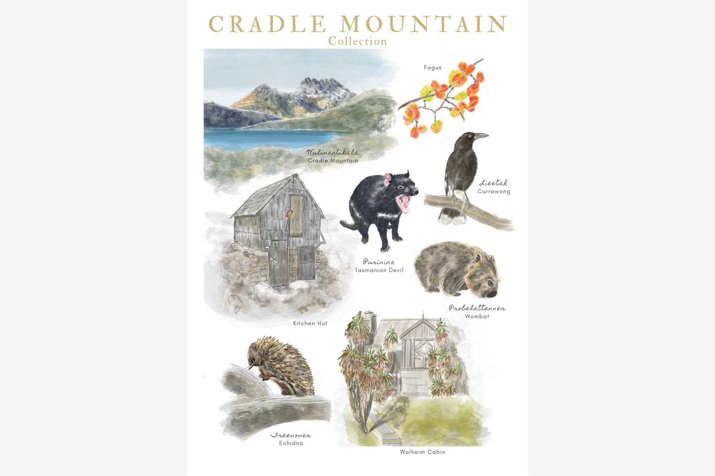 Palawa Pigments Watercolour Paintable Pad - Cradle Mountain | Flywheel | Stationery | Tasmania