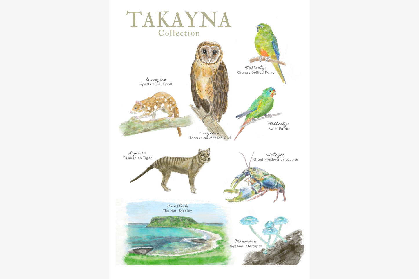 Palawa Pigments Watercolour Paintable Pad - Takayna | Flywheel | Stationery | Tasmania