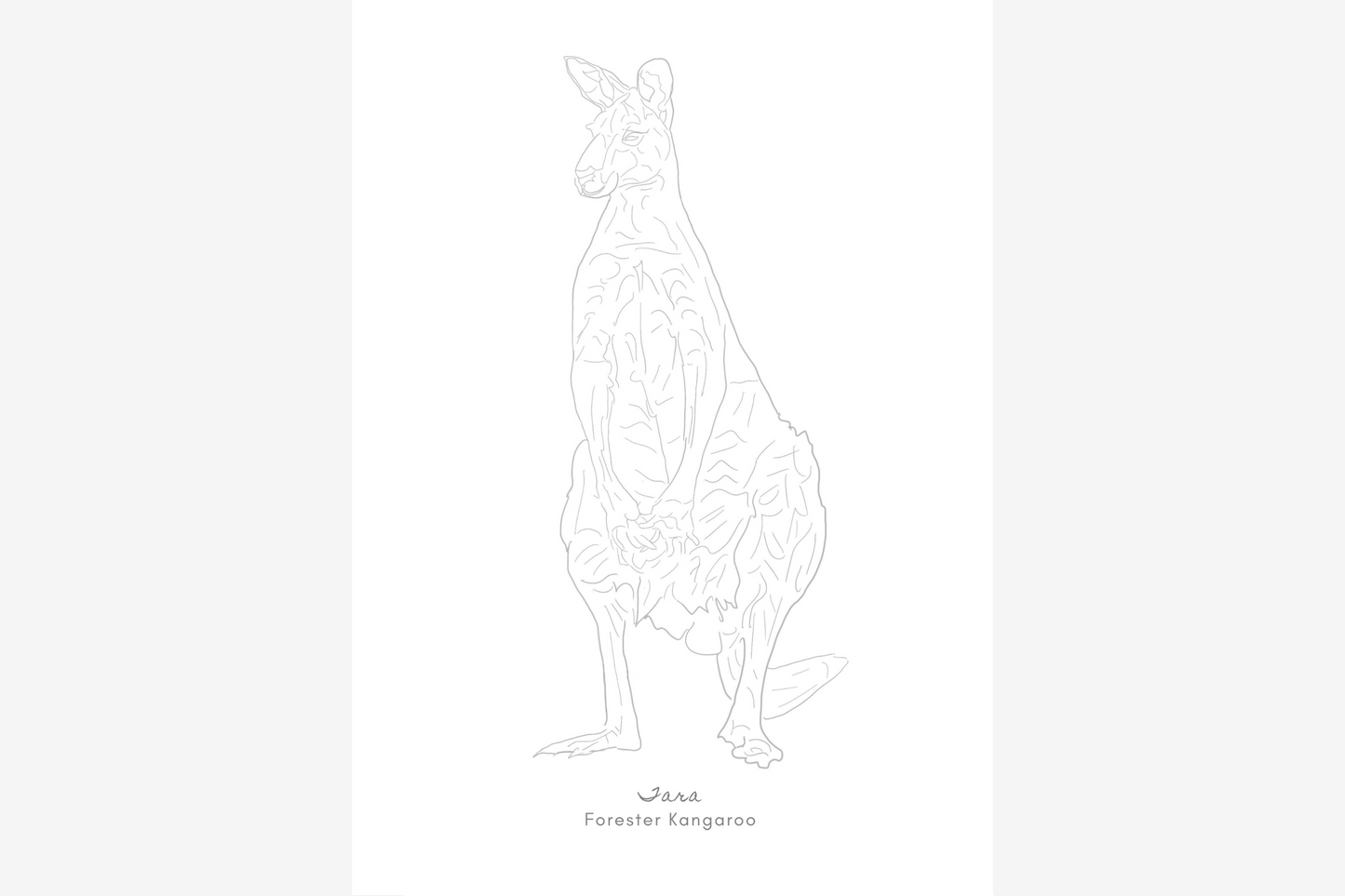 Palawa Pigments Watercolour Paintable Pad - Wildlife | Flywheel | Stationery | Tasmania