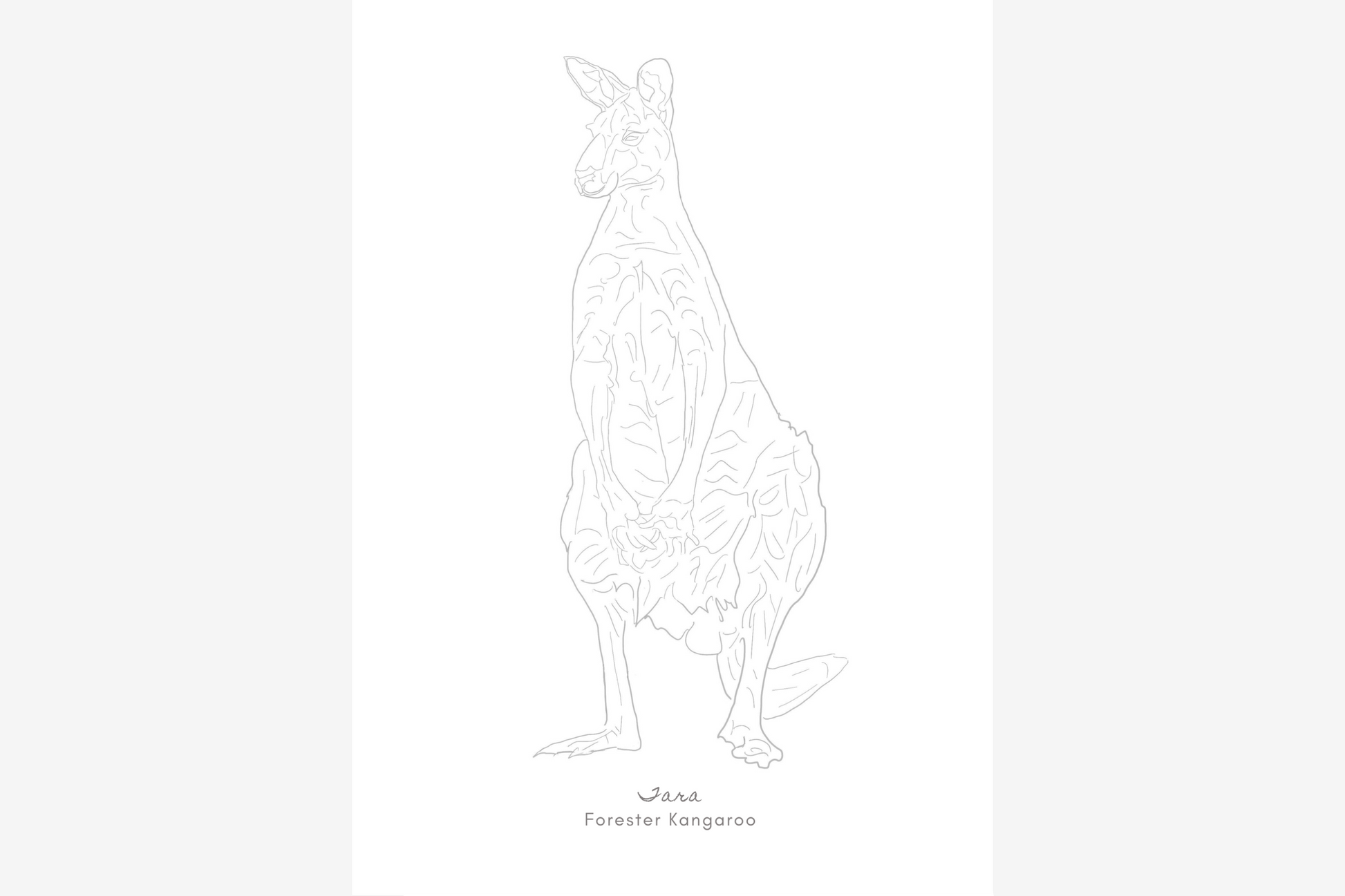 Palawa Pigments Watercolour Paintable Pad - Wildlife | Flywheel | Stationery | Tasmania
