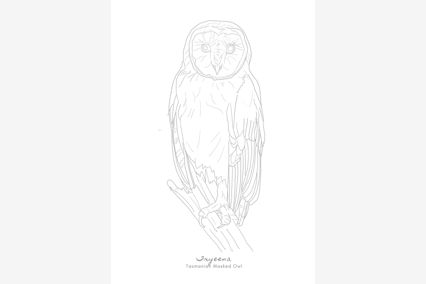 Palawa Pigments Watercolour Paintable Pad - Takayna | Flywheel | Stationery | Tasmania