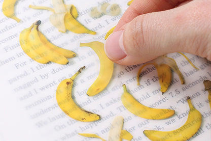 Appree Fruit Stickers - Banana | Flywheel | Stationery | Tasmania