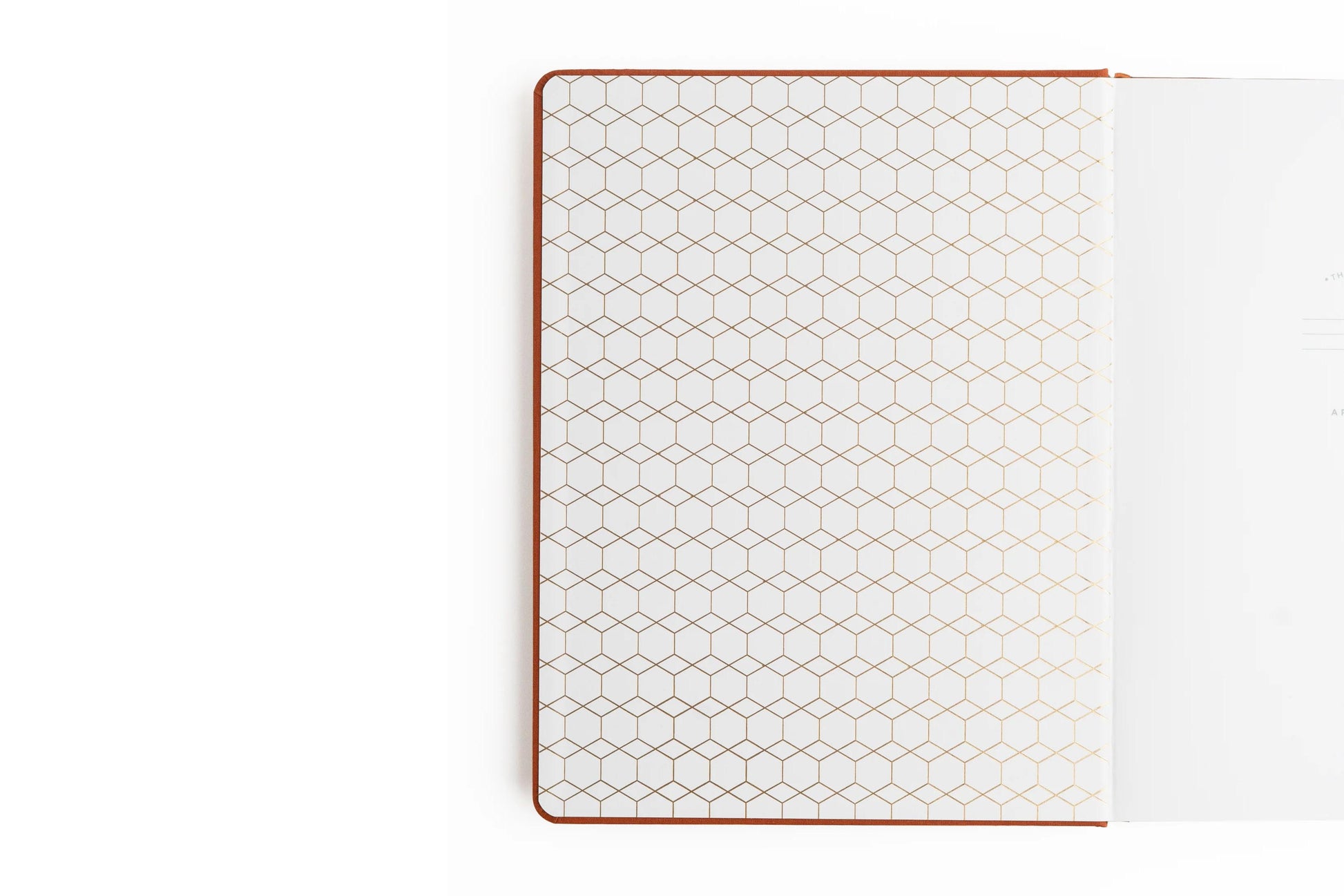 Archer & Olive A5 Dot Grid Notebook - Keeper of Bees Rust | Flywheel | Stationery | Tasmania
