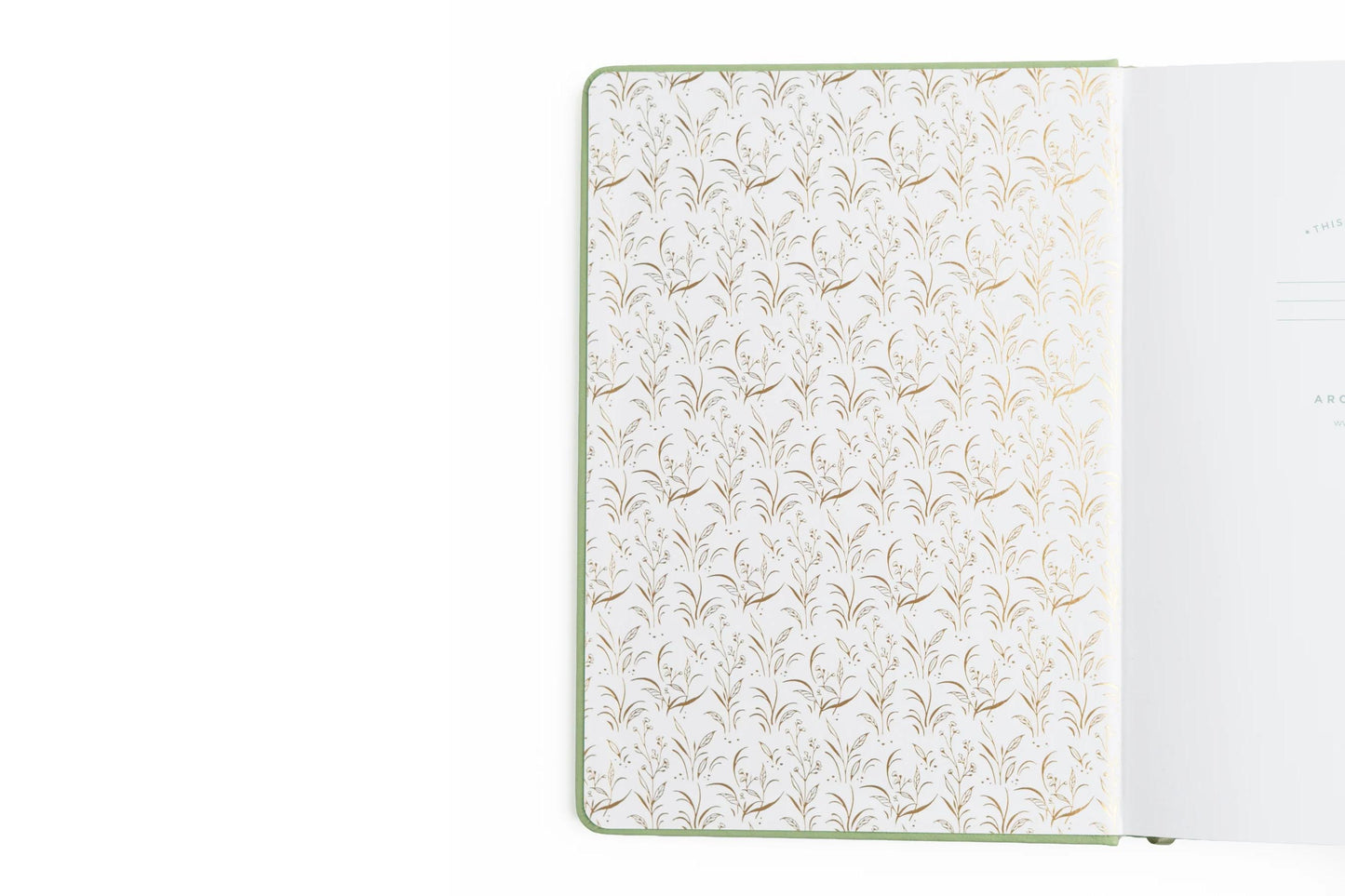 Archer & Olive A5 Dot Grid Notebook - Turtle