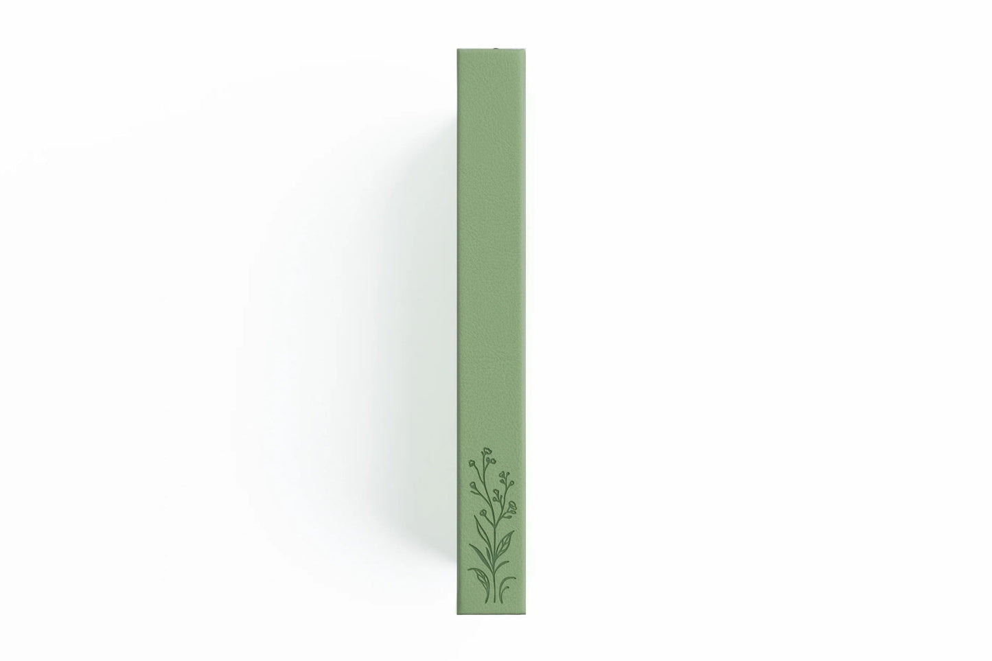 Archer & Olive A5 Dot Grid Notebook - Turtle