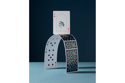 Playing Cards - Curious Wonders